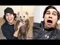 SURPRISING FRIENDS WITH REAL BABY BEAR