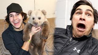 SURPRISING FRIENDS WITH REAL BABY BEAR!!