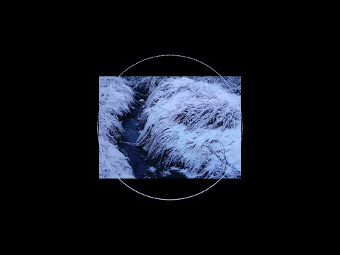 Alaska Sargent - Friends (feat. saoirse dream) [Official Lyric Video]