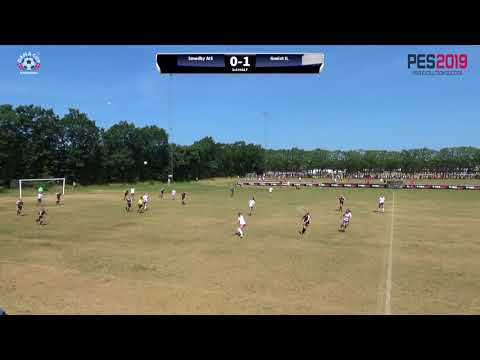 Dana Cup 2018 -  G17 - Smedby AIS- Gneist IL