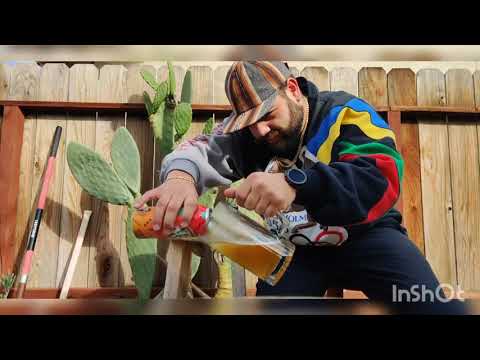 BeerView! Mango Indian Pale Ale from Temblur. Does it taste like Mango!?