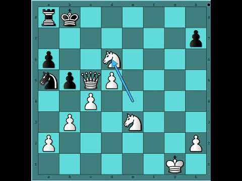 Mečevi igrani za titulu šahovskog šampiona 10 partija 👑 vs 👑PETROSIAN vs SPASSKY #2580