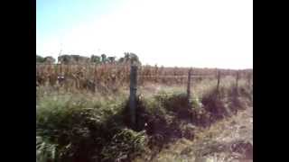 preview picture of video 'MOTOQUEANDO POR EL CAMPO EN CARLOS CASARES.MPG'