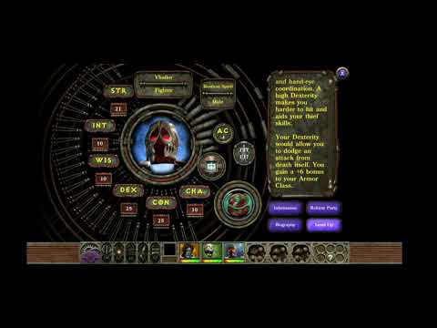 Vhailor soloing the final boss in Planescape Torment EE