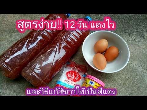 สูตร 12 วันแดงเร็ว!! จุลินทรีย์สังเคราะห์แสงแดงเร็ว และสูตรแก้สีขาวให้เป็นสีแดง ง่ายๆ