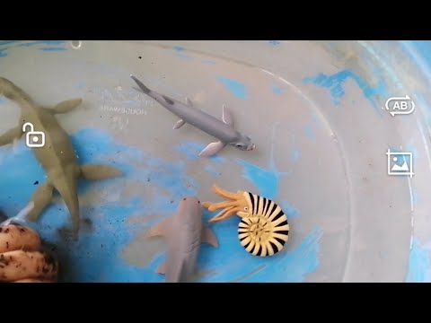 Learning and Playing with 11 Prehistoric Dinosaur Sea Creatures, Collect A Toys