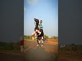Karnataka Horserace