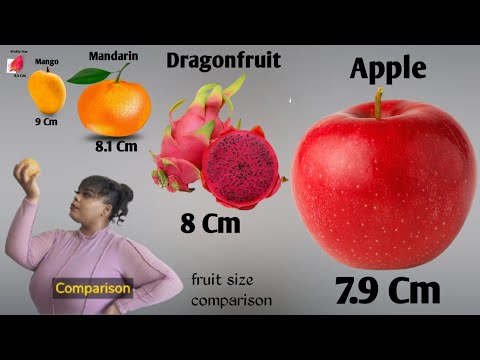 Which Fruit Grows the BIGGEST? Find Out Now!