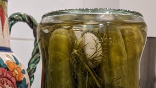 מלפפונים חמוצים תוך שעה אחת! חמוצי פלא בקלות ובמהירות עם מקס מלכיאל Gherkin Pickles in under 1 hour