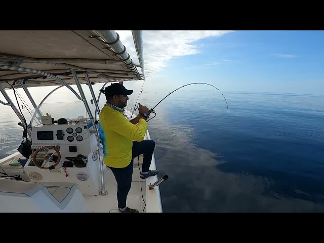 مكينة كهربائية بيست ماستر EJ 1000