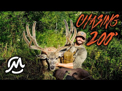 CHASING 200" | SOLO High Country Archery Mule Deer ON VIDEO | 4K FIlm 