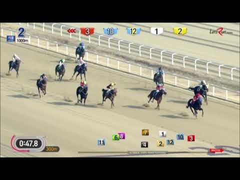 Horse Queen - January 13, 2018