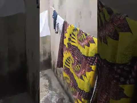 Prime 60 × 120ft Land at Mingles, Ilewe, Ejigbo