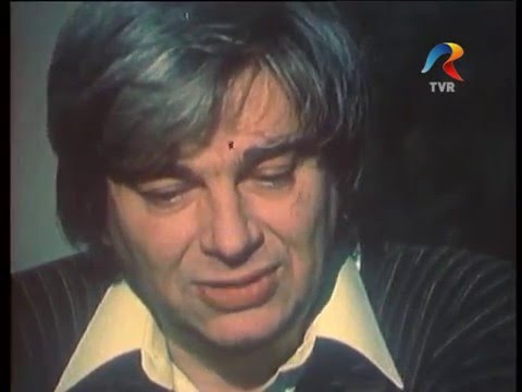 Interviu cu Nichita Stanescu