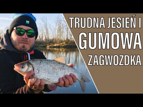 [079] Trudna jesień i gumowa zagwozdka