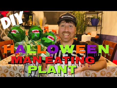 DIY HALLOWEEN MAN EATING PLANT