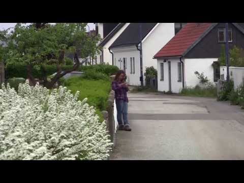 Brantevik, Österlen, juni 2013.