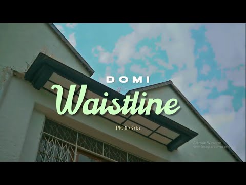 Domi - Waistline (Official Music Visualizer)