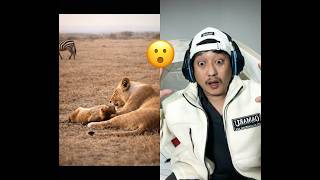 Download lagu Viral shorts video #viral #viralvideo #viralshorts #shorts mp3