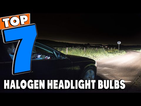 Top 7 Best Halogen Headlight Bulbs Review in 2026