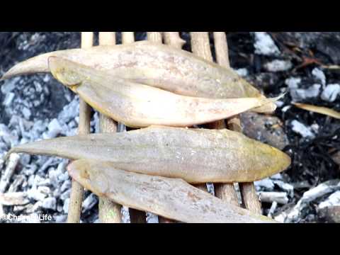 Primitive as cooking! eating delicious - two men grill dog tongue fish