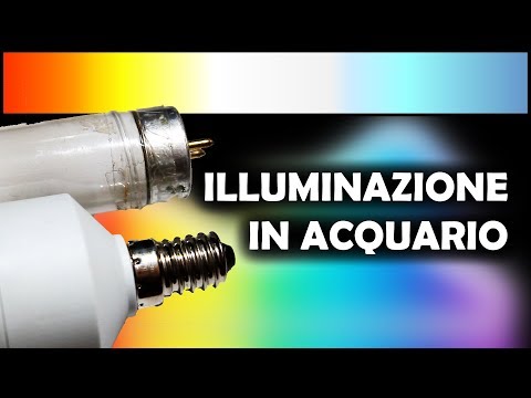 Rilascio da esercito con dermatite atopic Quello che le medicine sono nominate a psoriasi