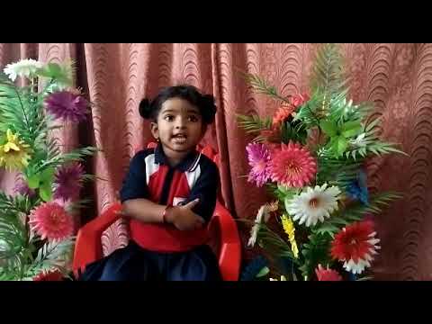 Ch.Ashritha | Animals in Hindi | Rise Play School | Jagannaickpur, Kakinada.