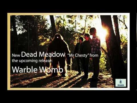 Dead Meadow - Mr Chesty