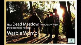 Dead Meadow - Mr Chesty