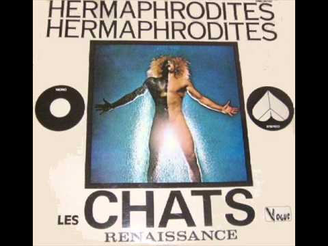 les chats renaissance - aimez vous les uns sur les autres (1972)