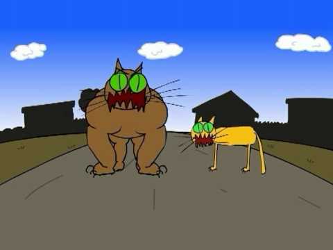 KOT NA KOKSIE - CAT OR DOG