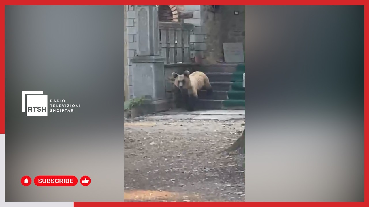 Ariu hyn dhe shkakton dëme në objektin e shenjtë të Dobërgorës në Devoll
