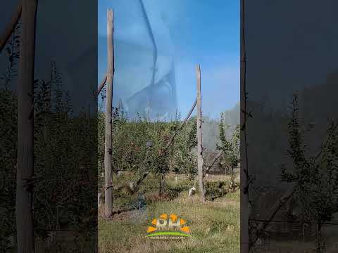 Pulverización General 🍐🍎#fruticultura #fruticola #chichinales #rionegro #patagonia #argentina