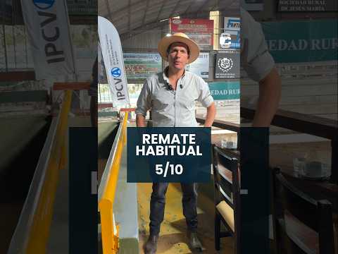 Remate habitual 5/10/2026