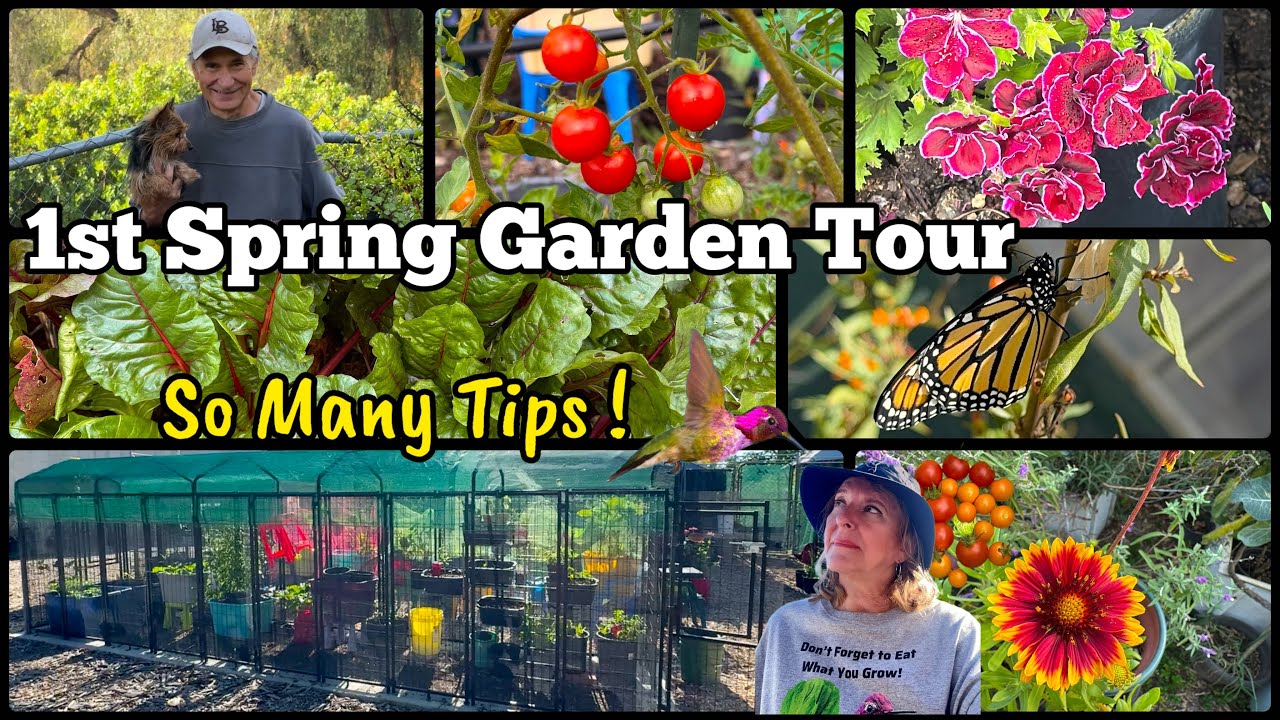 Spring Garden Tour Growing TIPS for Growing Vegetables Container Gardening Tomatoes Peppers Herbs