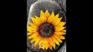 Sunflower Rock Creations from Over the Past Few Weeks🌻🌻🌻
