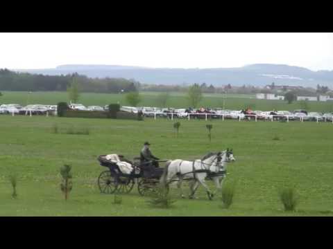 Dostihy Brno-Dvorska 22.4.2017 1. dostih