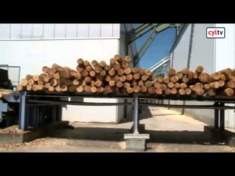 Hecho en CyL - Michelín, Lesaffre y Tama