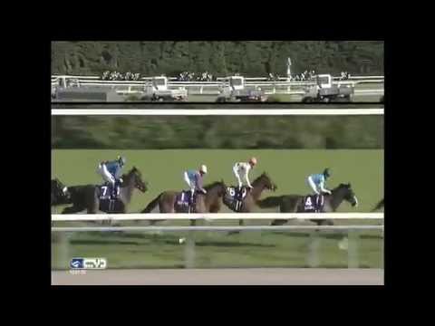 2015.10.18 Shuka Sho (JPN) - Mikki Queen