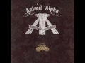 Animal Alpha - Bundy 