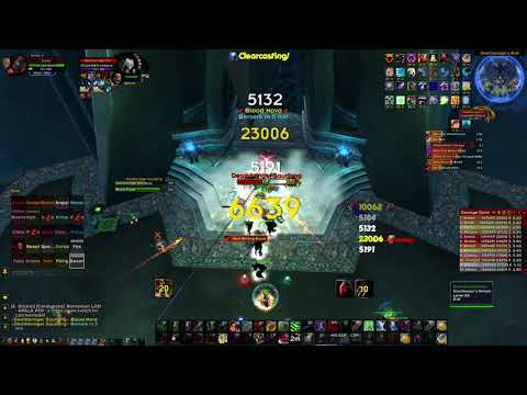 Warmane Wotlk Feral Cat Dps Deathbringer Saurfang POV