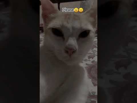 💔💗💗💜😚♥️