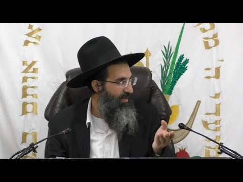 הלכות תלמיד חכם - ה' - נידוי ומחילה | יורה דעה - סימן רמג | חלק 307 | הרב שי עובד