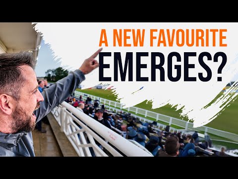 Is This the Night I FINALLY WIN at the Track? | English Greyhound Derby Semi-Finals