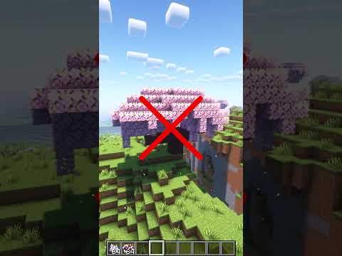 Busting Minecraft Myths in One Minute! (#11)