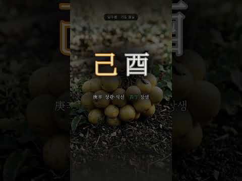 잘 일군 밭의 결실 | 기유(己酉) 일주
