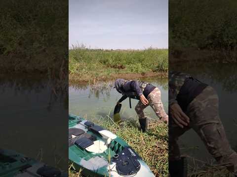 Pescaria em primeiro de maio.