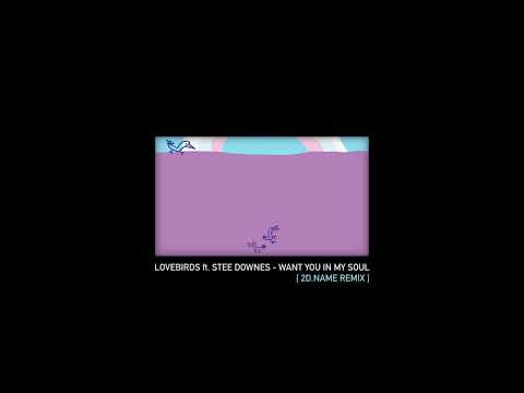 Lovebirds ft. Stee Downes - Want You In My Soul [2D.NAME Remix]