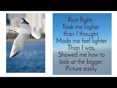 His first flight quote