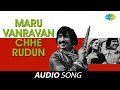 Maru Vanravan Chhe Rudun Asha Bhosle Praful Dave Chundadi No Rang